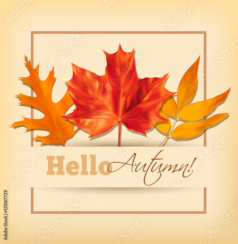 Background with autumn leaves. Vector illustration.