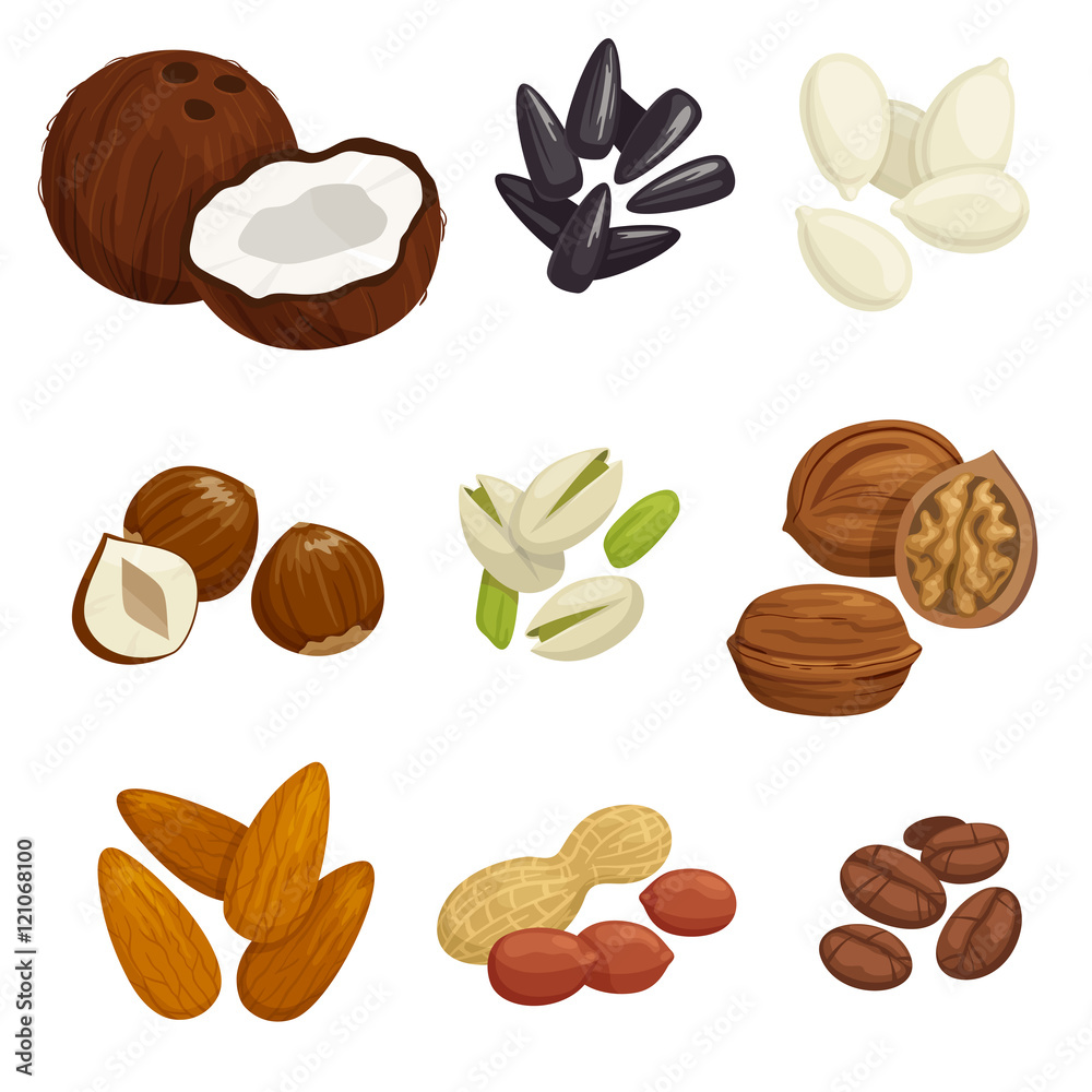 Nuts, grain and kernels vector icons Nuts, grain and kernels vector icons