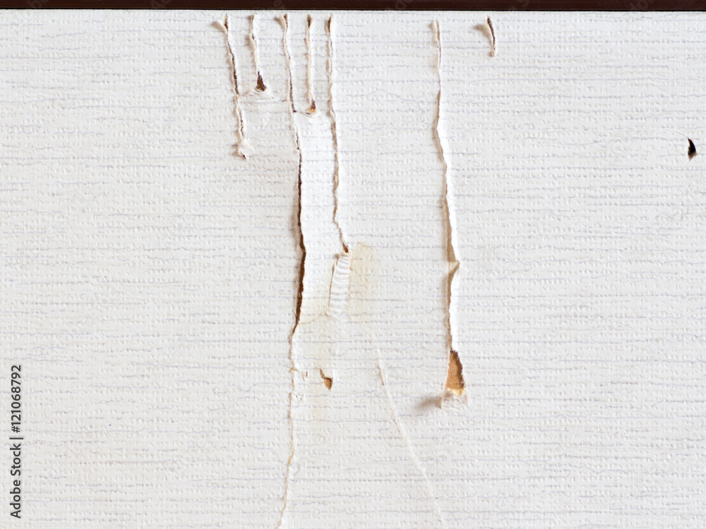 Fototapeta premium The trace of cat scratching on Japanese Fusuma door