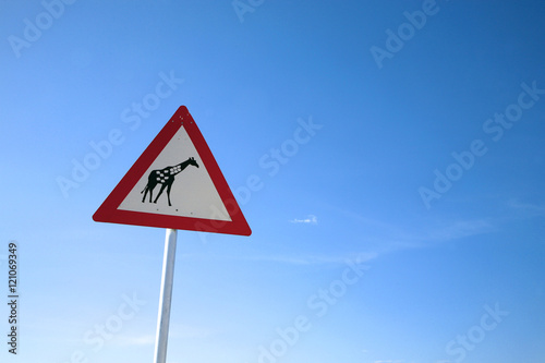 Traffic Danger Giraffe Crossing Road Sign in Namibia, Africa.