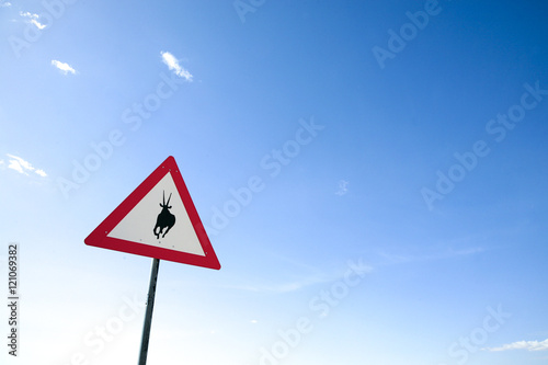 Traffic Danger Springbok Crossing Road Sign in Namibia, Africa.