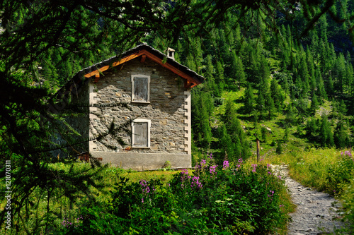 Old shelter in forest with road