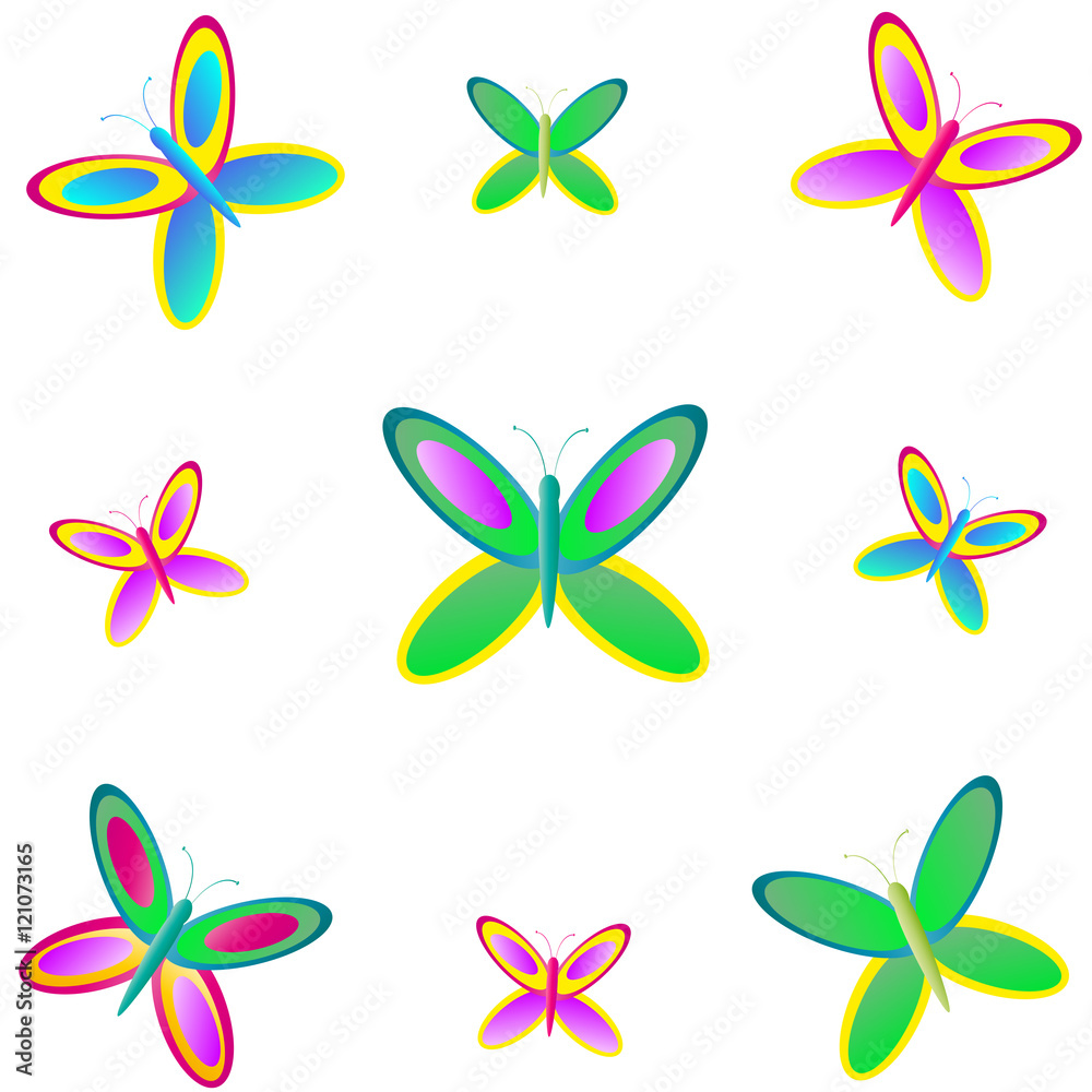 butterfly butterfly