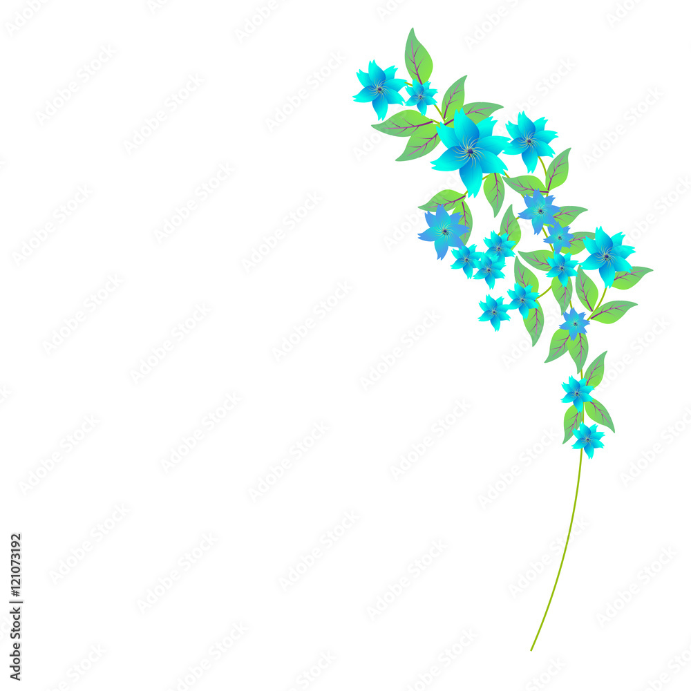 flowers flowers