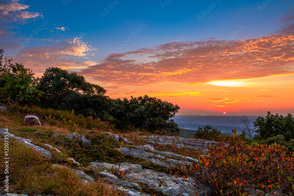 Colorful blueberry bushes are surrounded with rocky granite outcroppings at High Point State Park, New Jersey sunset