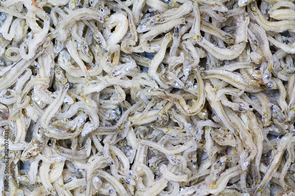 Japanese cuisine, seamless picture of half dried little fish cal
