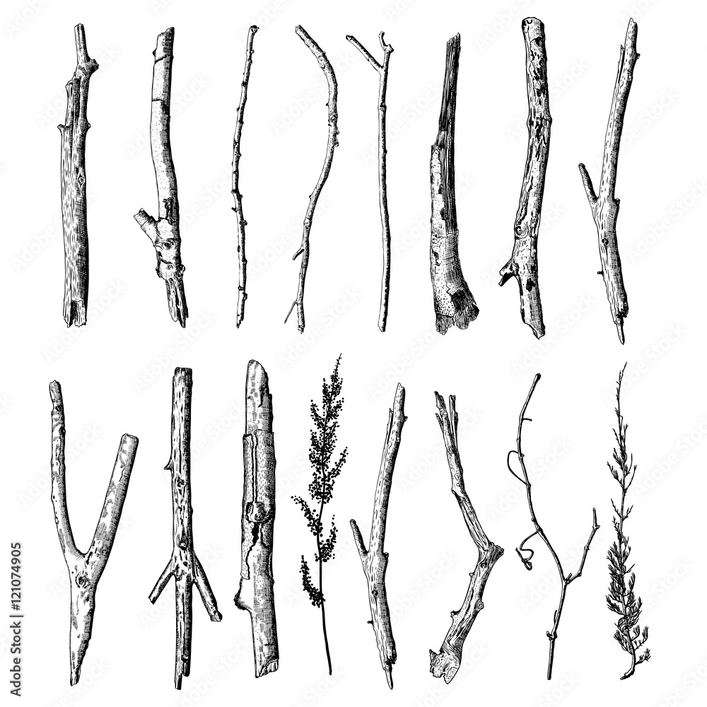 Naklejka premium Zestaw szczegółowych i precyzyjnych rysunków atramentem gałązek drzewnych, kolekcji lasów, naturalnych gałęzi drzew, patyków, ręcznie rysowane wiązki leśnych driftwoodów. Rustykalny design, klasyczne elementy rysunkowe. Wektor.