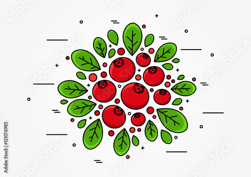 Cranberry line art vector concept