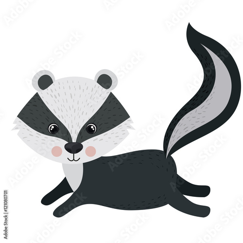Skunk cartoon icon. Forest animal theme. Isolated design. Vector illustration