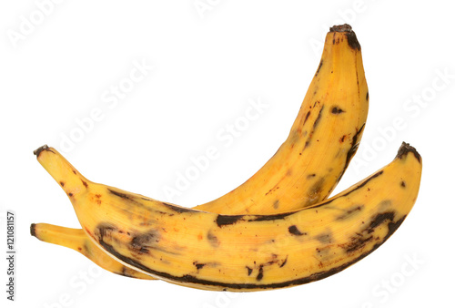 plantain banana photo