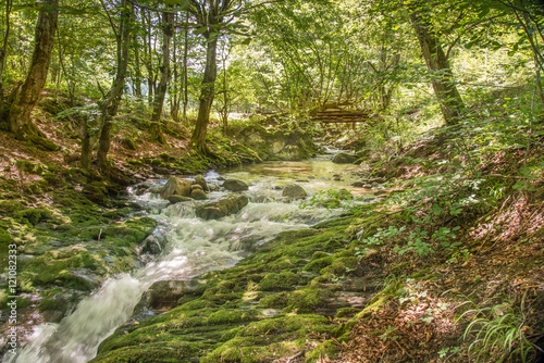 Fototapeta Naklejka Na Ścianę i Meble -  Mountain river in forest