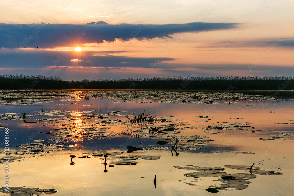 Beautiful sunset in Danube Delta
