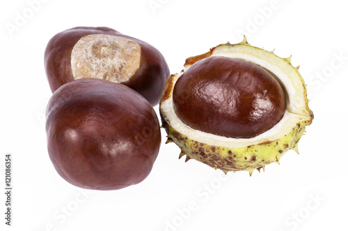 Fruits of chestnuts in green shell isolated on white background