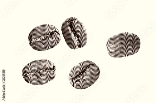 Close up Sketch painting coffee beans on a white background Black and white