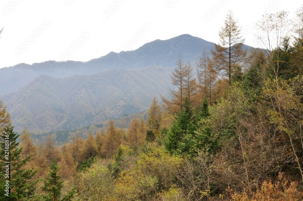 紅葉の鶏冠山より大菩薩嶺