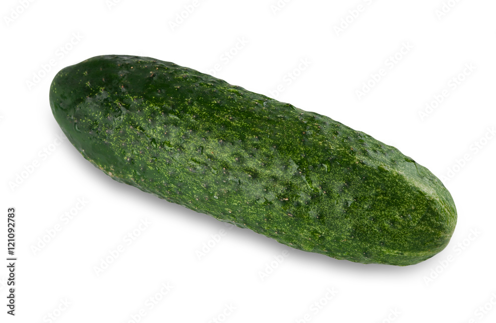 One ripe fresh green cucumber isolated on white background One ripe fresh green cucumber isolated on white background