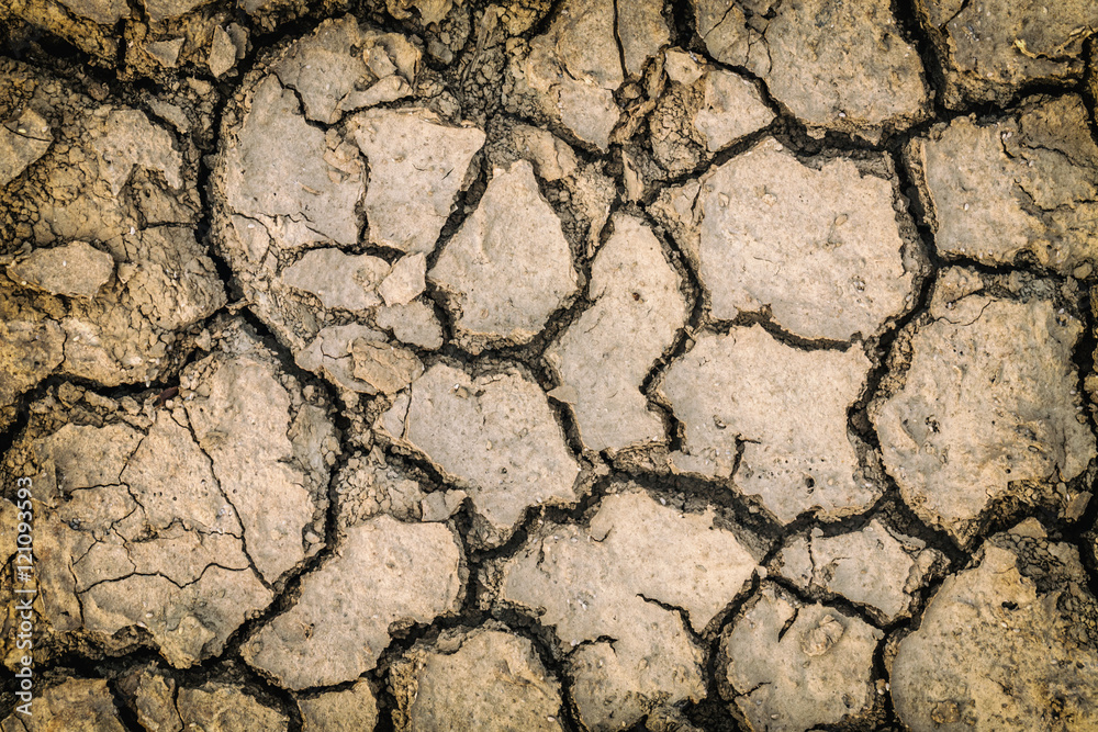 Fototapeta premium Rainless in countryside