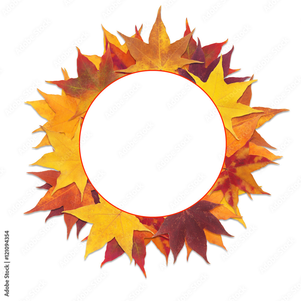 frame maple leaves Stock Photo Adobe Stock