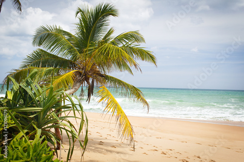 sri-lanka landscape