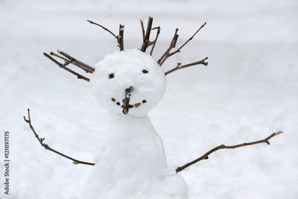 Schneemann Schneefrau mit Stöcken im Winter Stock-Foto | Adobe Stock
