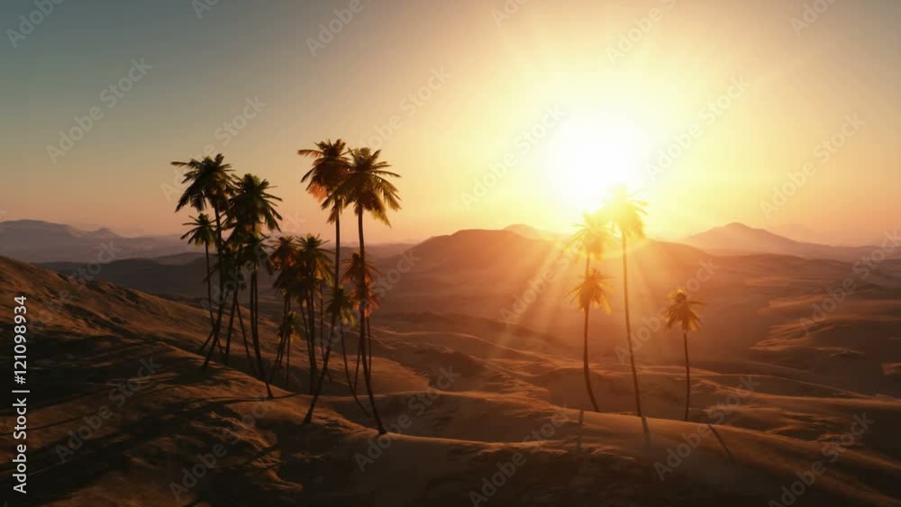 palms in desert at sunset