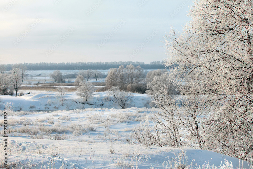 Obraz premium winter landscape