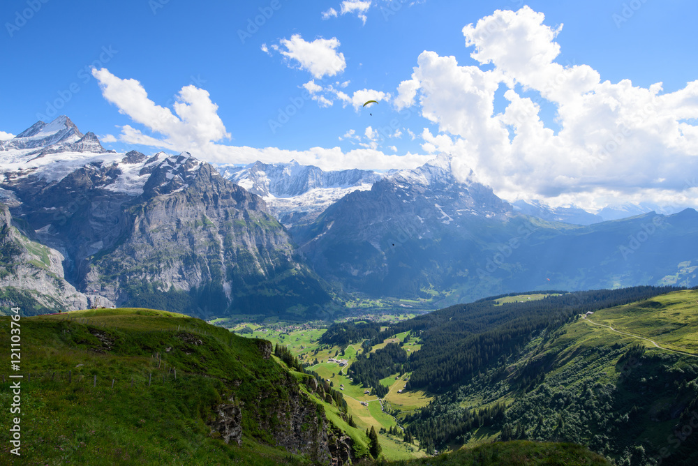 Landscape Scene from First to Grindelwald, Bernese Oberland, Swi