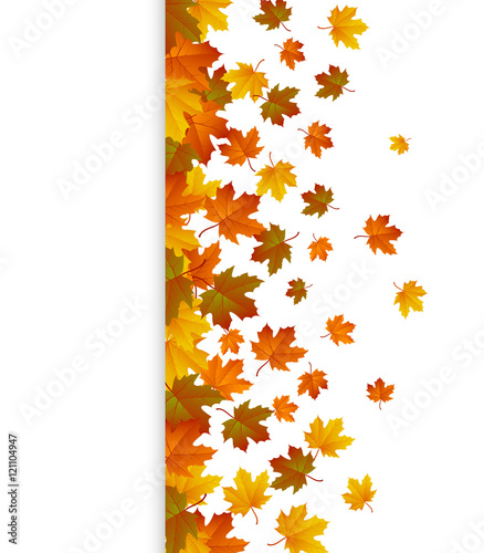 Background with maple autumn leaves. Vector