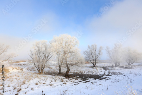 thick fog in winter