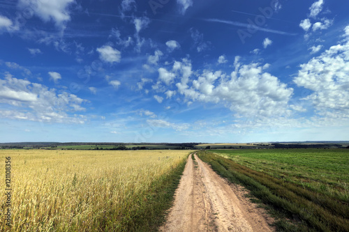 Walk in the fields