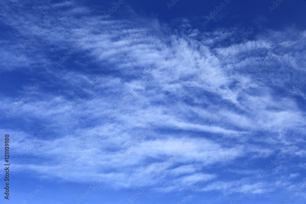 Fototapeta premium cirrus