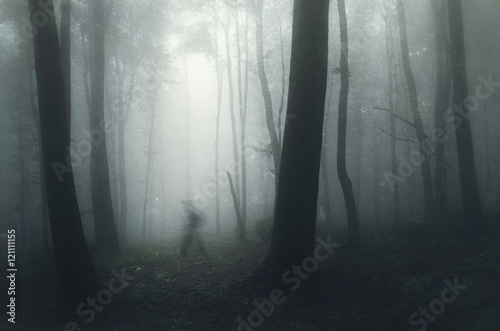 ghost in spooky haunted forest photo