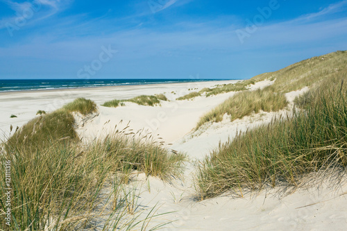 Weite Dünen am Strand im Sommer