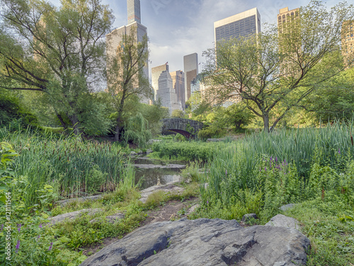 Gapstow bridge Central Park, New York City photo