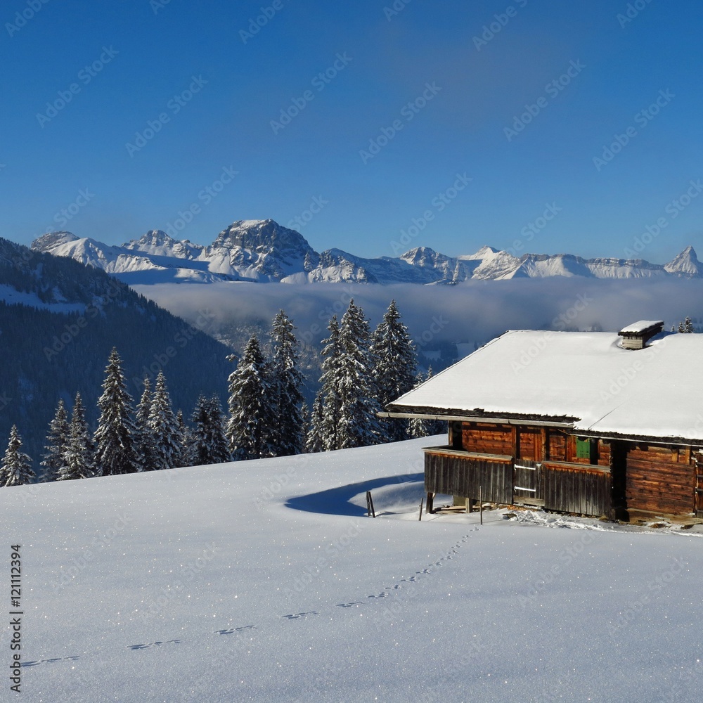 Winter scene on Mt Wispile, Gstaad