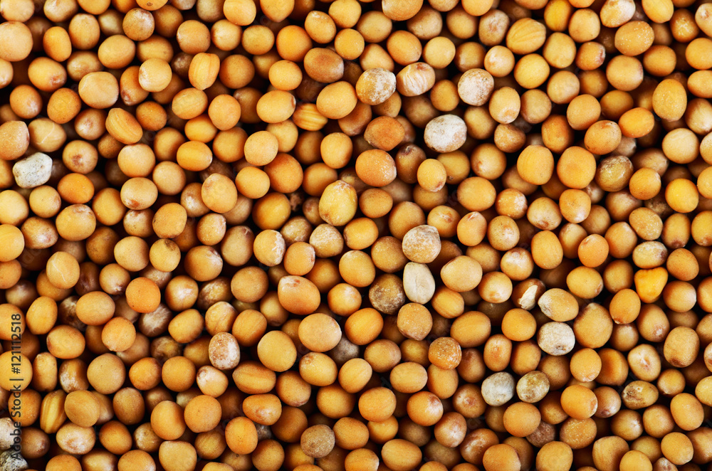 mustard seeds on a full background close-up horizontal mustard seeds on a full background close-up horizontal