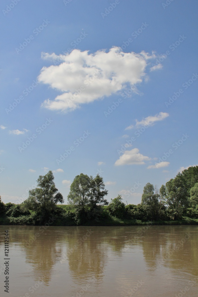 Brown river and green overgrown river banks with blue sky and clouds