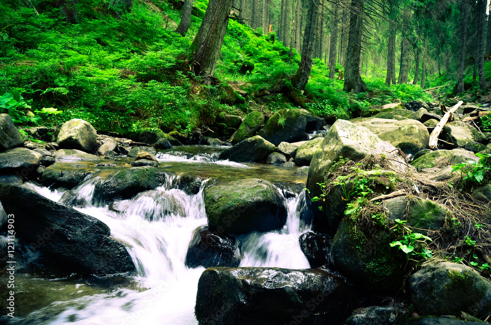 Mountain valley with river in the summer time