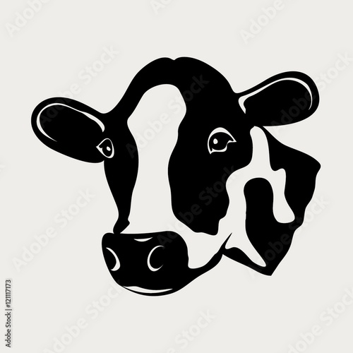 COW HEAD illustration vector