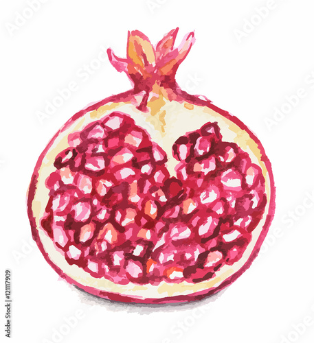 Isolated watercolor garnet on white background. Ripe and juicy fruit with vitamins.