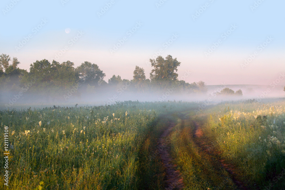 foggy morning