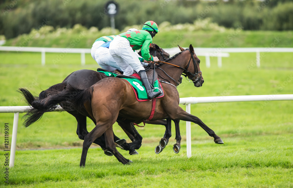 Race horses and jockeys competing on the track Race horses and jockeys competing on the track