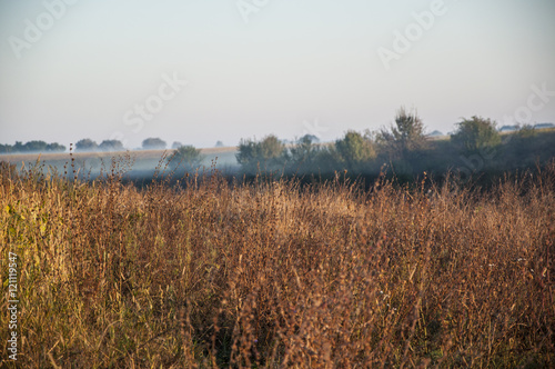 early morning rural landscape with fog