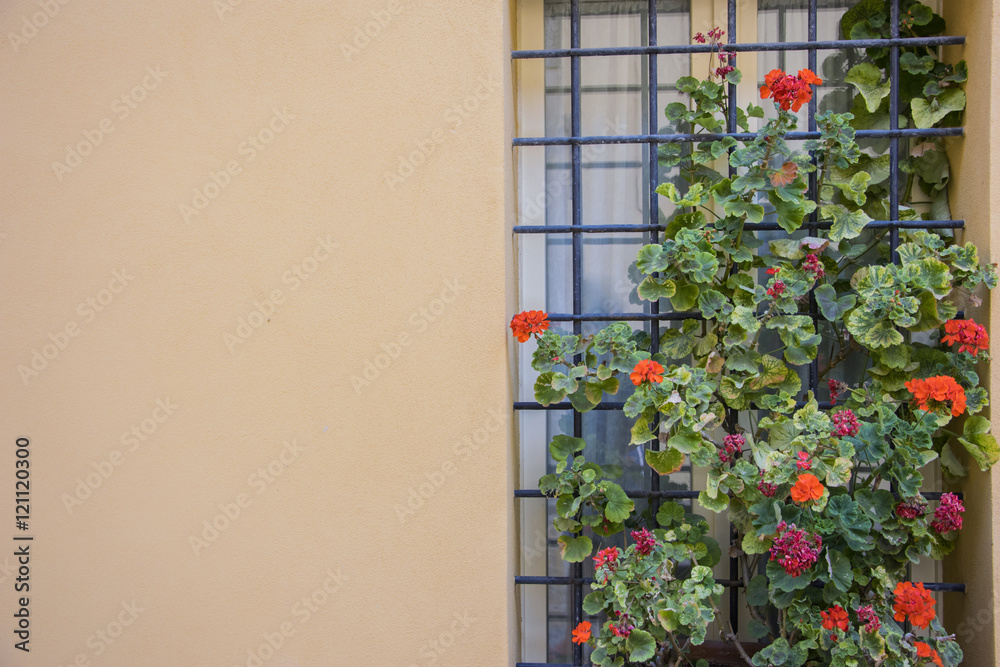 Italian window with metal grating, decorated with fresh flowers