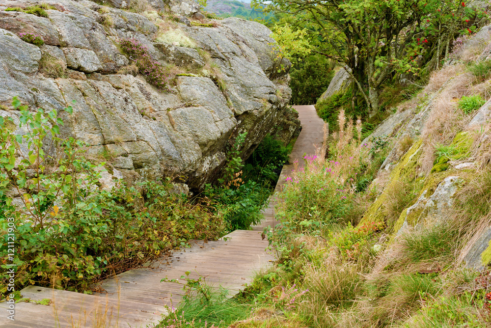 Wooden path through rocky terrain and vegetation. Wooden path through rocky terrain and vegetation.