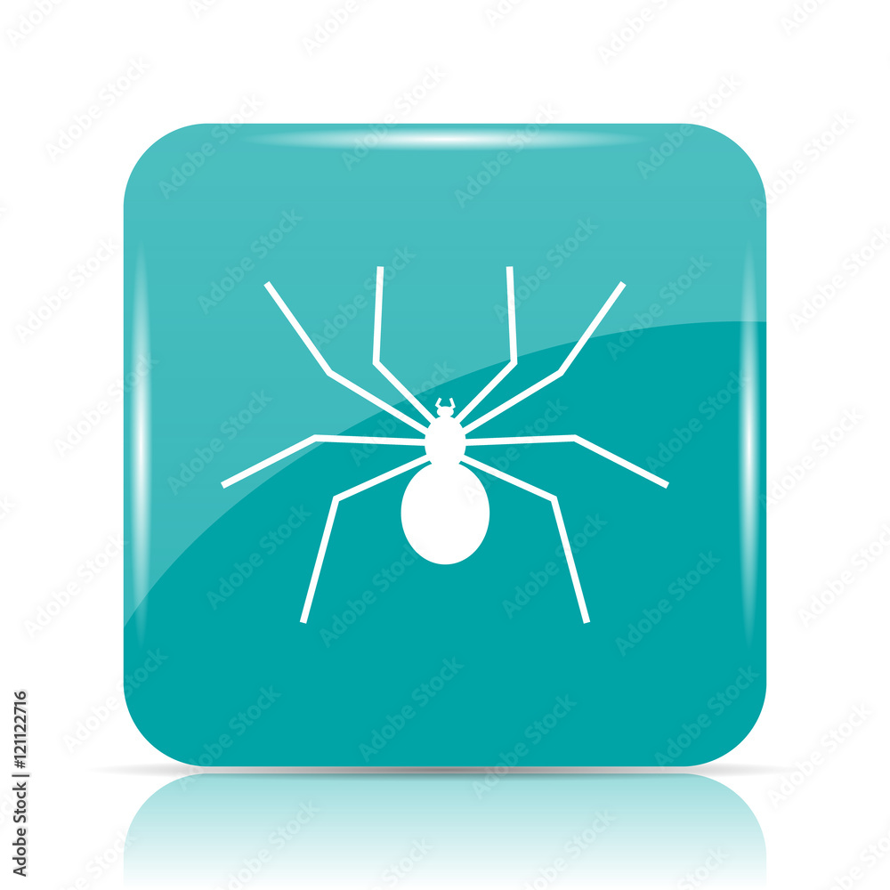 Spider icon Spider icon
