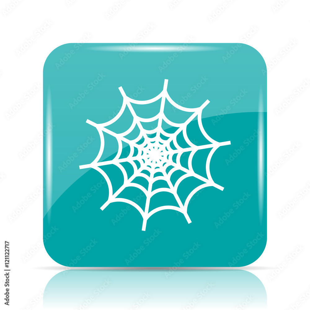 Spider web icon Spider web icon