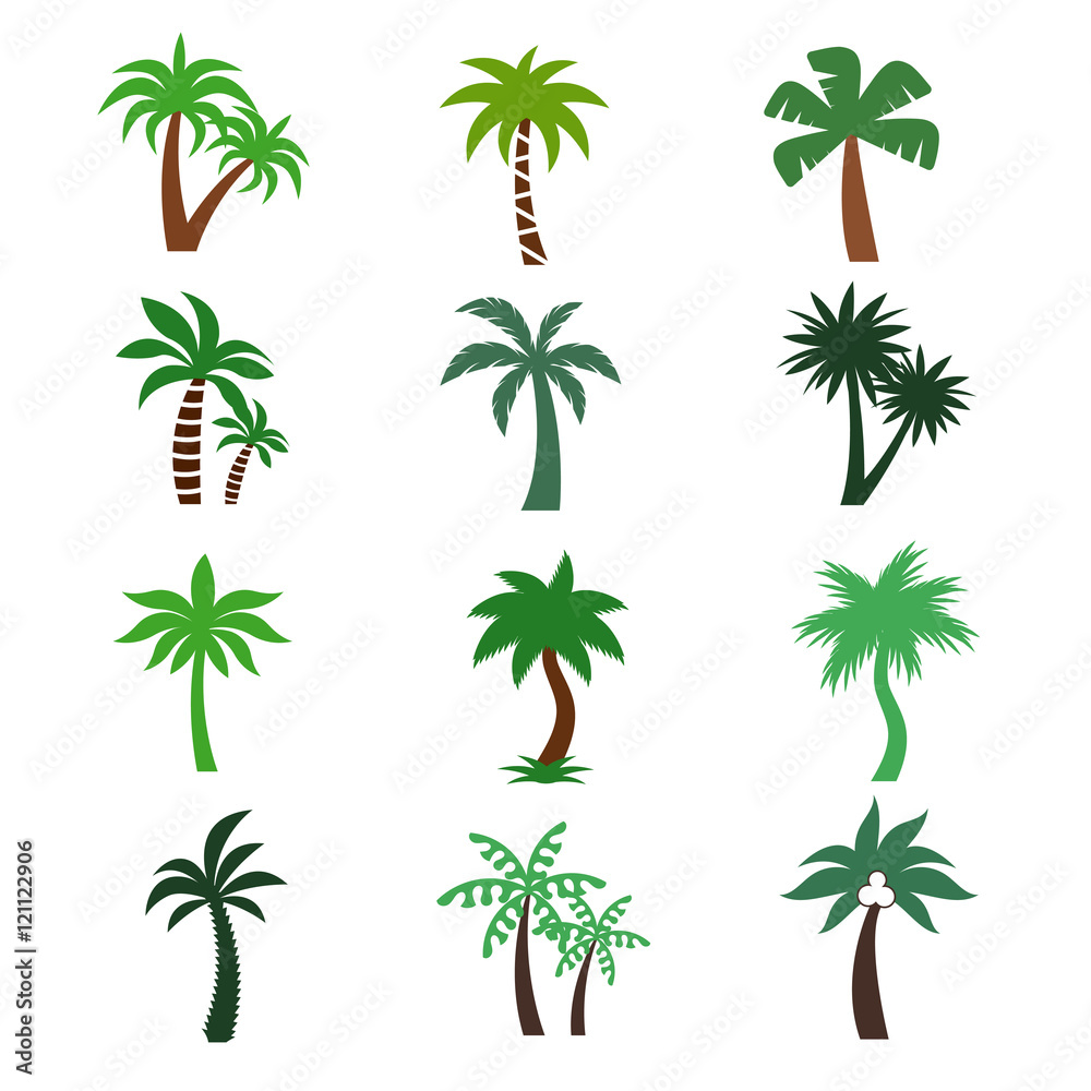 Obraz premium Color palm trees vector silhouettes
