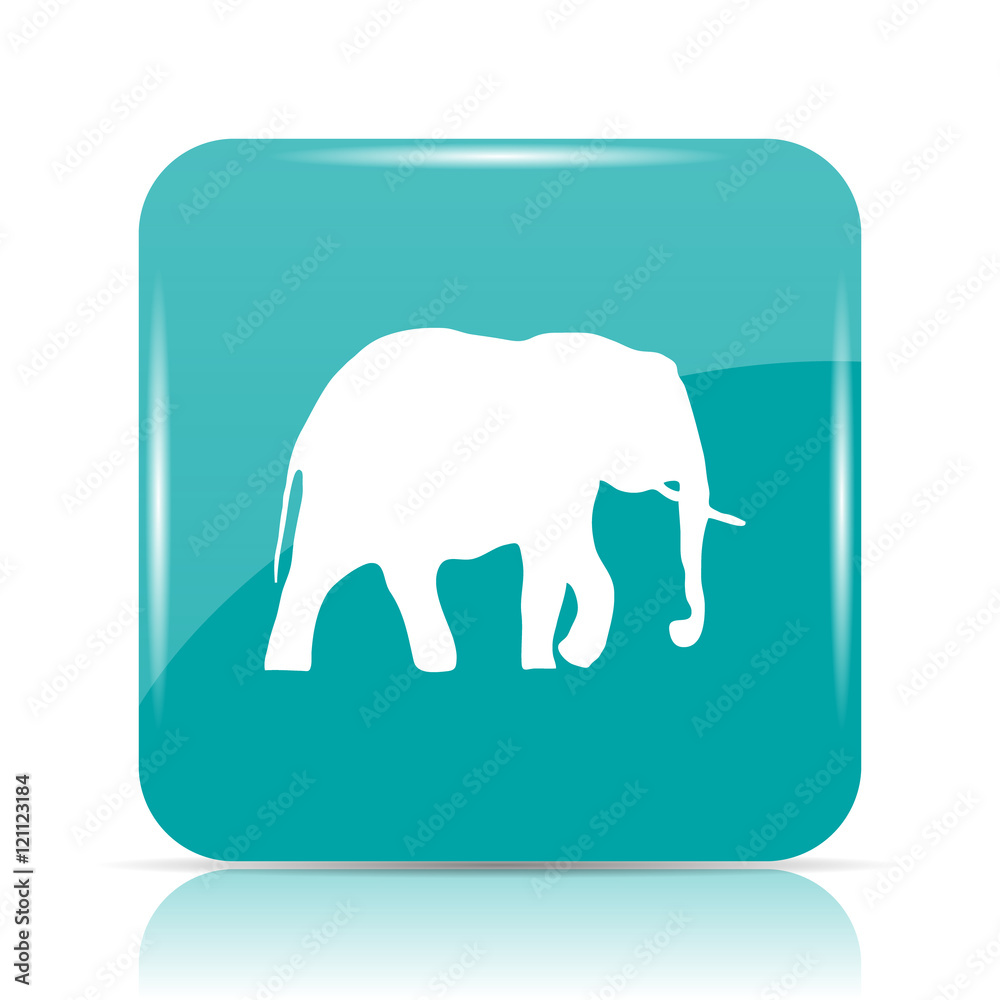 Elephant icon Elephant icon