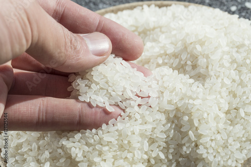 Rice plant on the yellow bowl